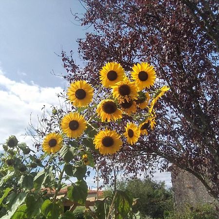 Les Tournesols Panzió La Bernardiere Kültér fotó