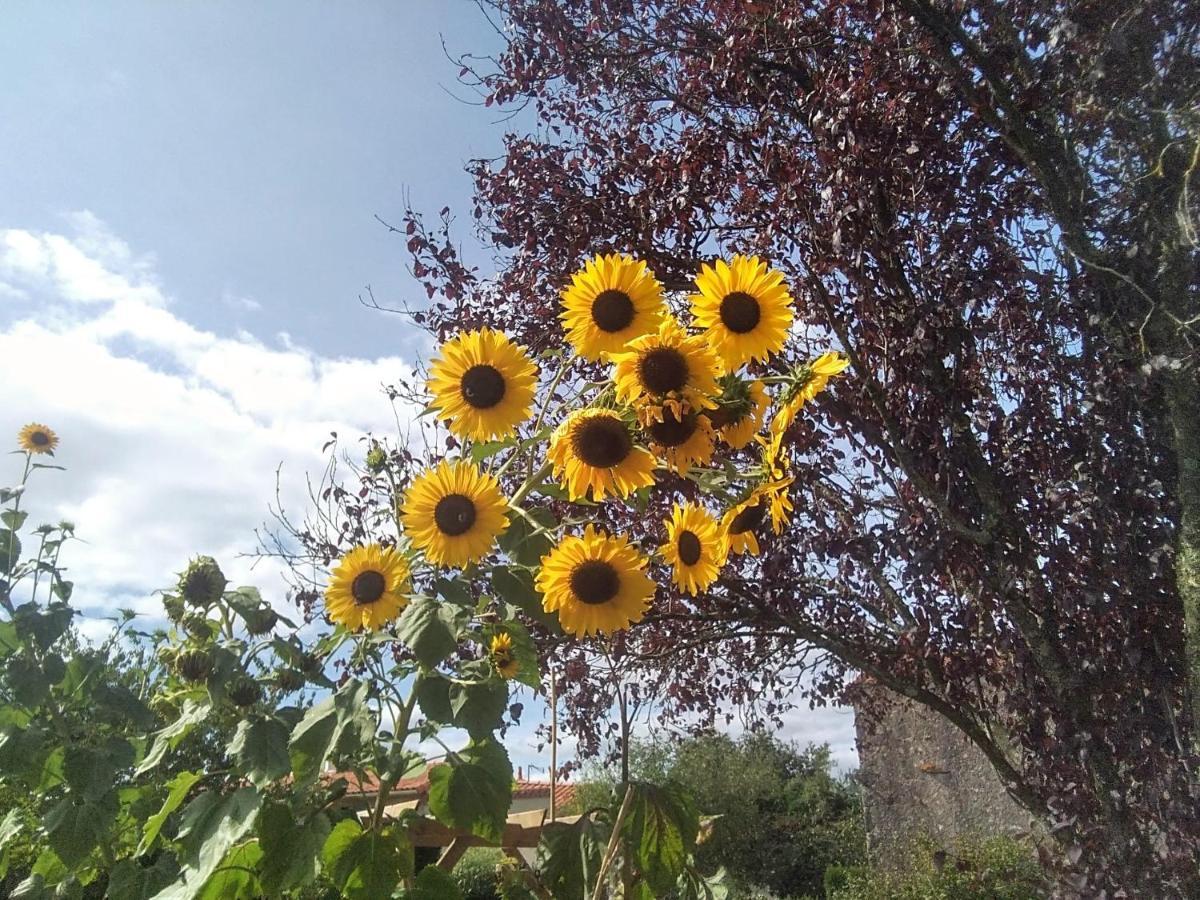 Les Tournesols Panzió La Bernardiere Kültér fotó