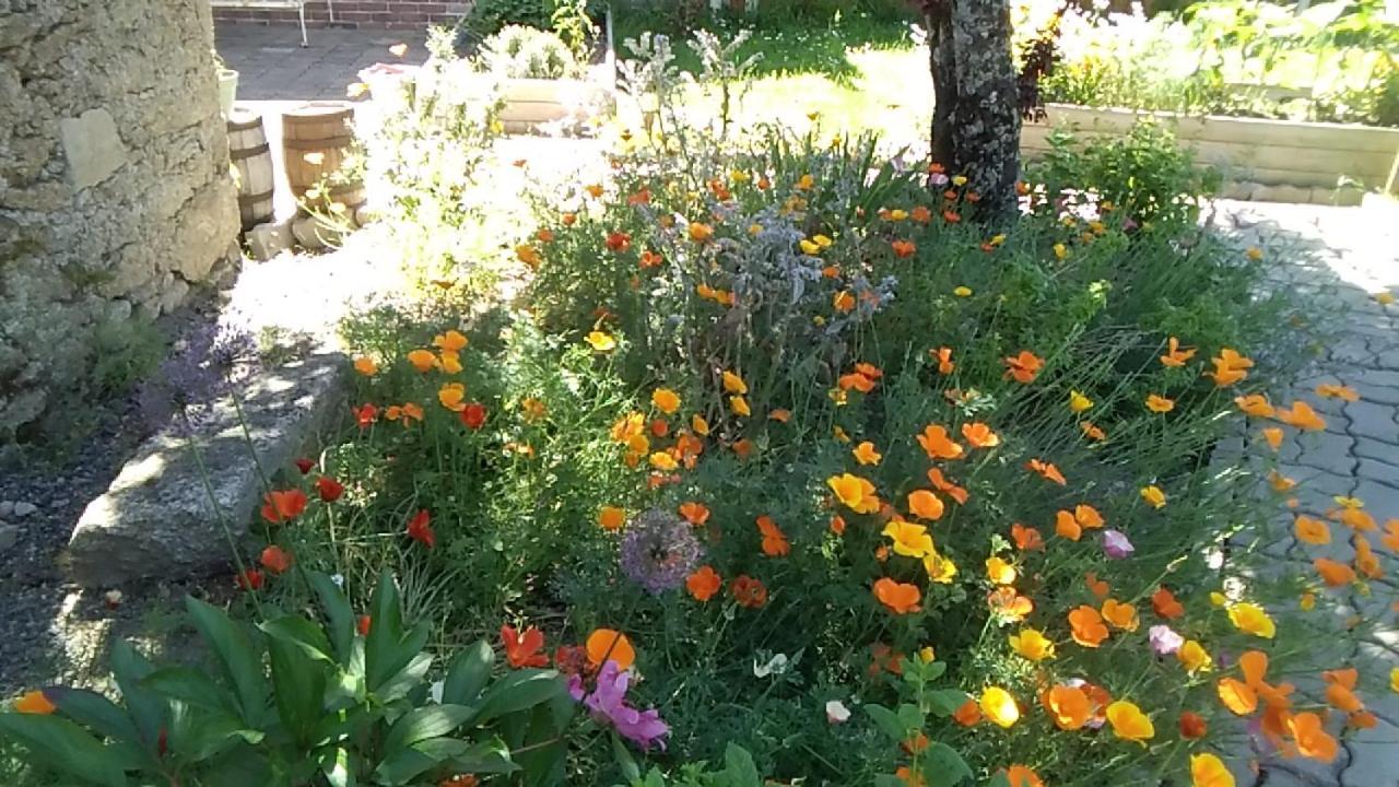Les Tournesols Panzió La Bernardiere Kültér fotó